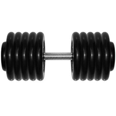 Гантель "профи" 58,5 кг